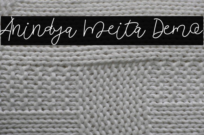 Anindya Meita Demo Example 2