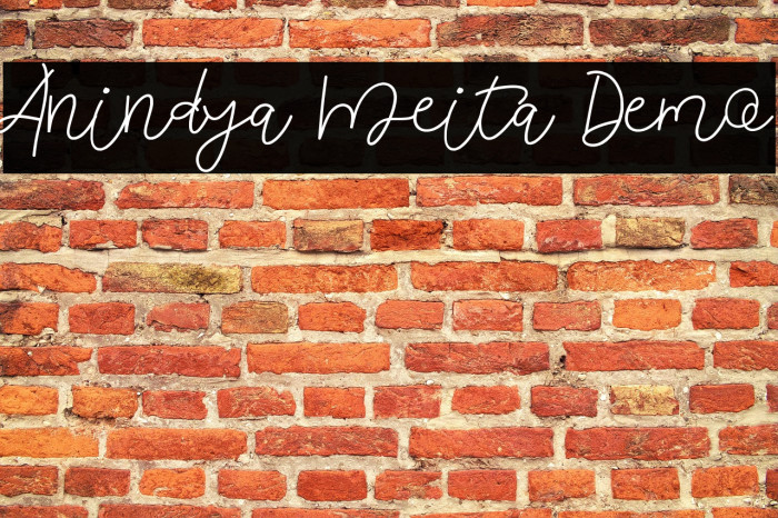 Anindya Meita Demo Example 3