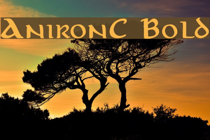 AnironC Bold Font examples