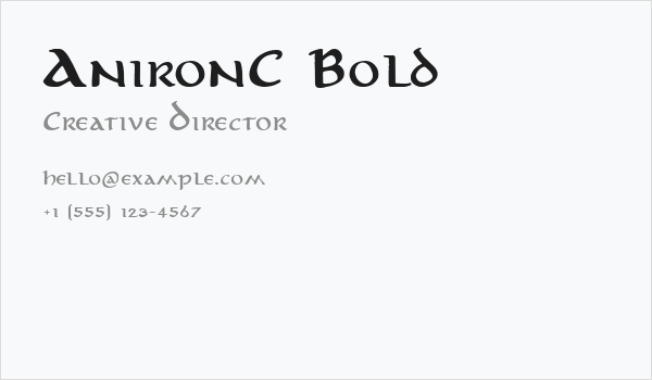 AnironC Bold Business Card