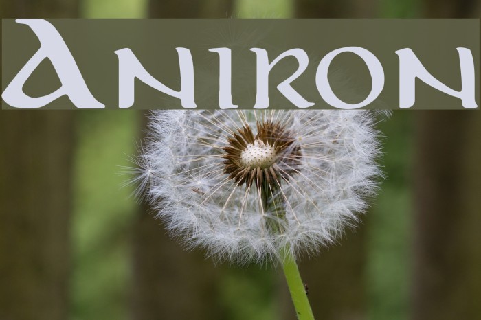 Aniron フォント examples