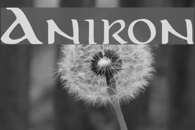 Aniron Font examples