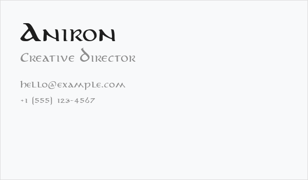 Aniron Business Card