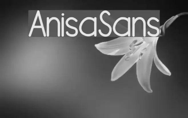 AnisaSans Font examples