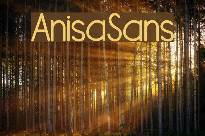 AnisaSans Font examples