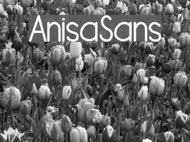 AnisaSans Font examples