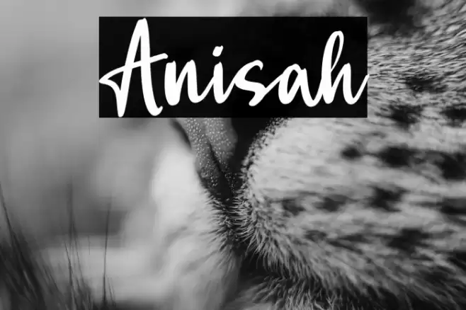 Anisah Font examples
