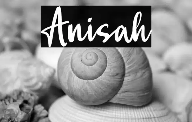 Anisah Font examples