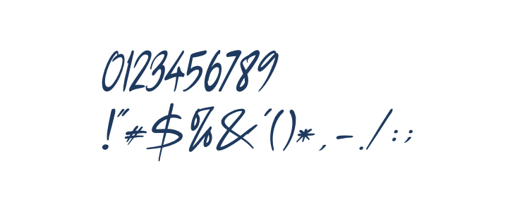 Anisha Italic Other Characters