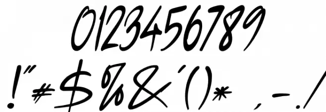 Anisha Italic Font OTHER CHARS