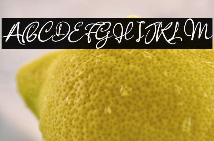 Anisha Italic Example 1