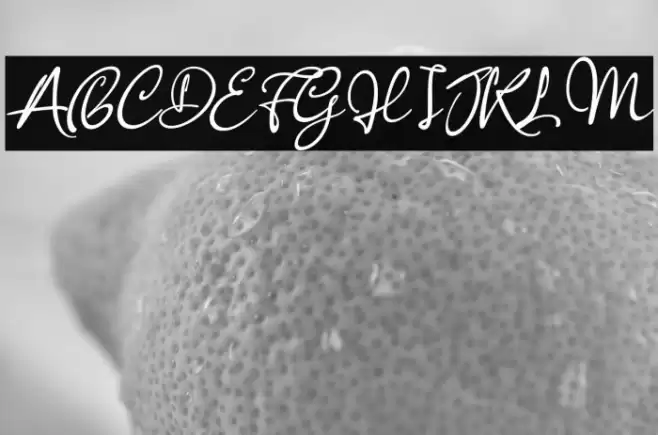 Anisha Italic Font examples