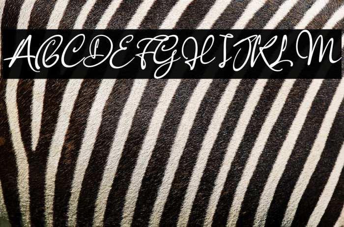 Anisha Italic Example 2