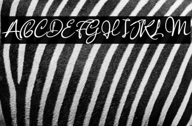 Anisha Italic Font examples