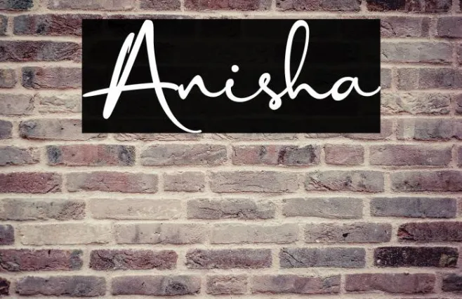 Anisha Example 1