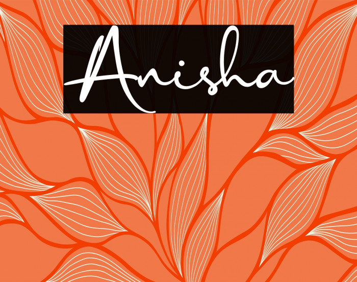 Anisha Example 2