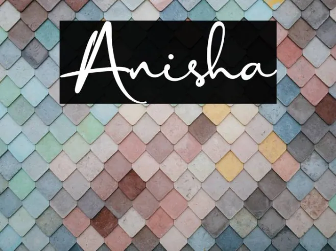 Anisha Example 3