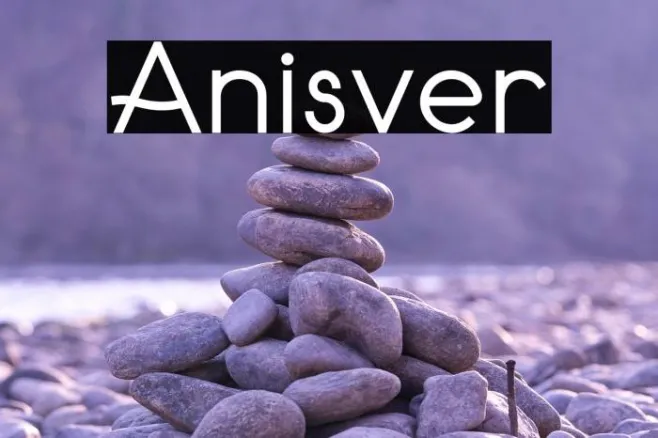 Anisver Example 1