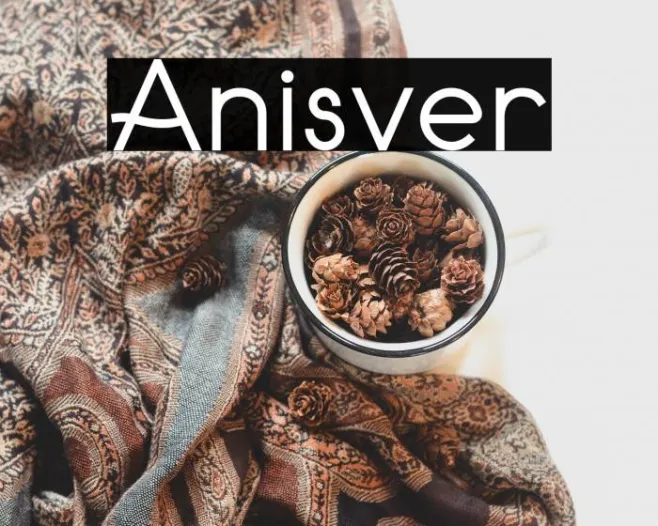 Anisver Example 2