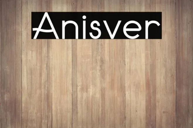 Anisver Example 3