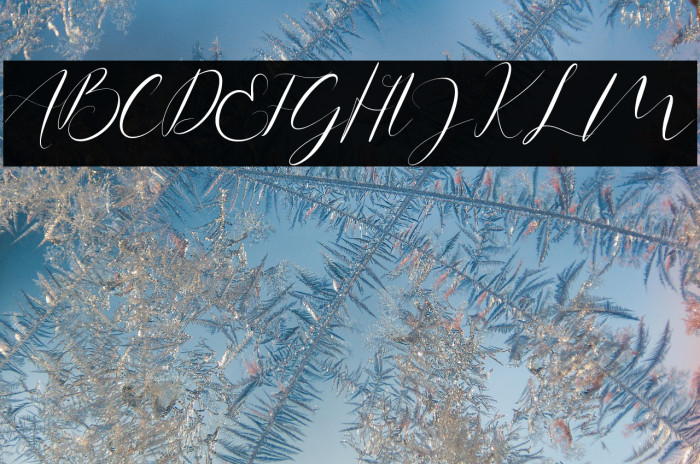 Anita Jane Example 2