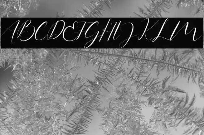 Anita Jane Font examples