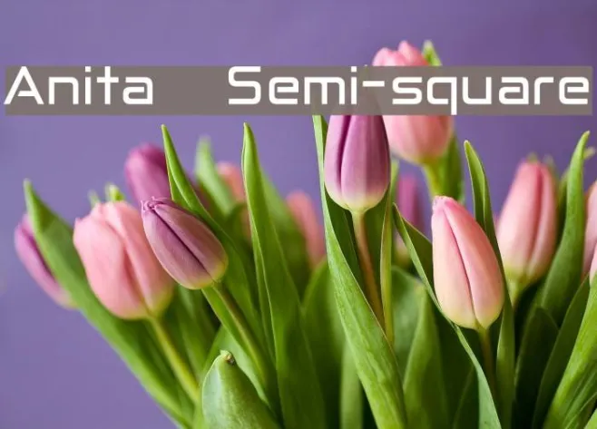 Anita  Semi-square Example 2
