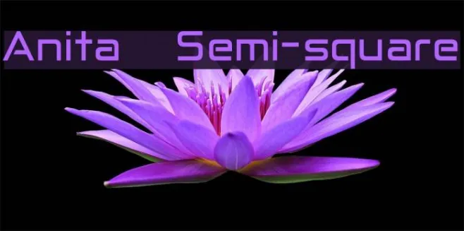 Anita  Semi-square Example 3