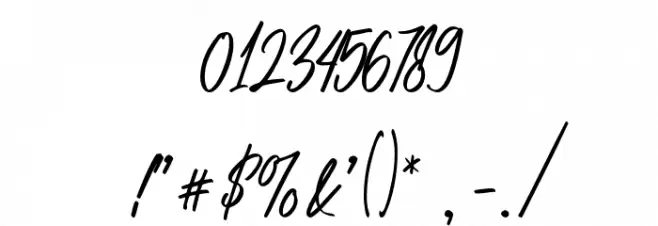 AnitaScriptDEMO-Regular Font OTHER CHARS