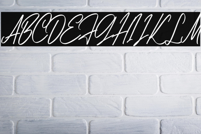 AnitaScriptDEMO-Regular Example 1