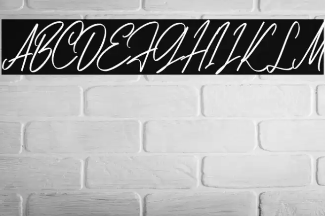 AnitaScriptDEMO-Regular Font examples