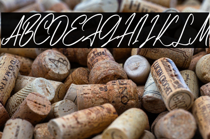 AnitaScriptDEMO-Regular Example 2