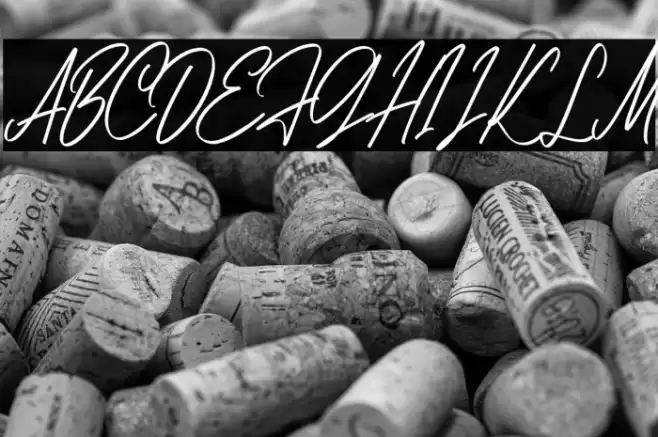 AnitaScriptDEMO-Regular Font examples