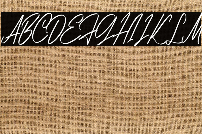 AnitaScriptDEMO-Regular Example 3