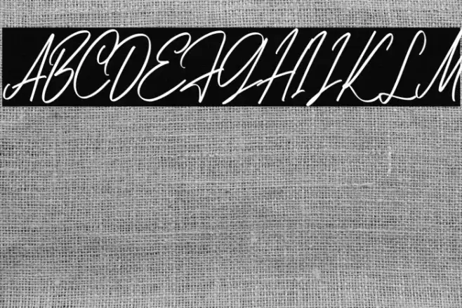 AnitaScriptDEMO-Regular Font examples