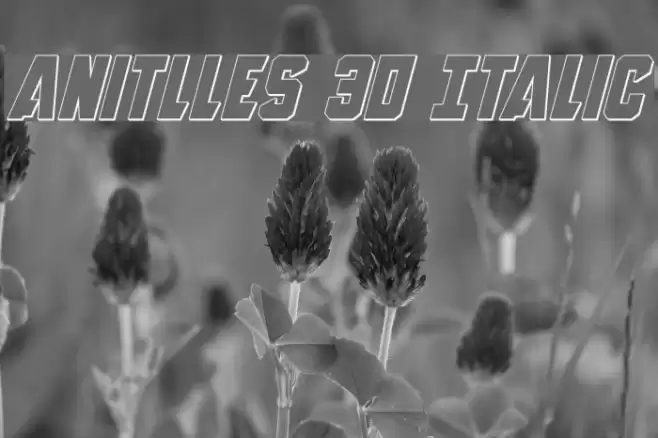 Anitlles 3D Italic フォント examples