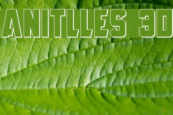 Anitlles 3D Example 3
