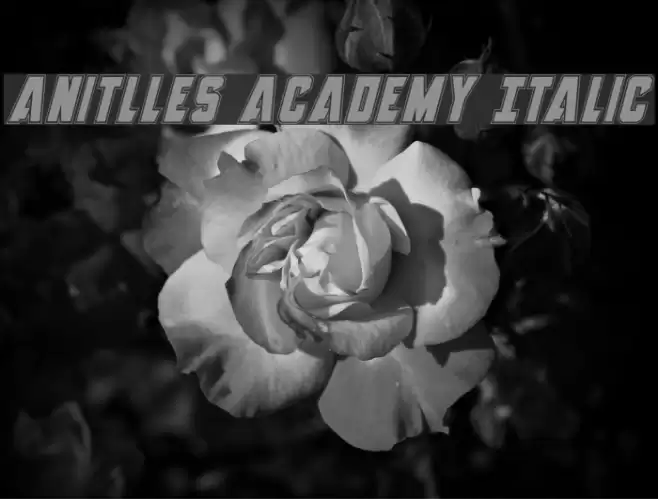 Anitlles Academy Italic Font examples