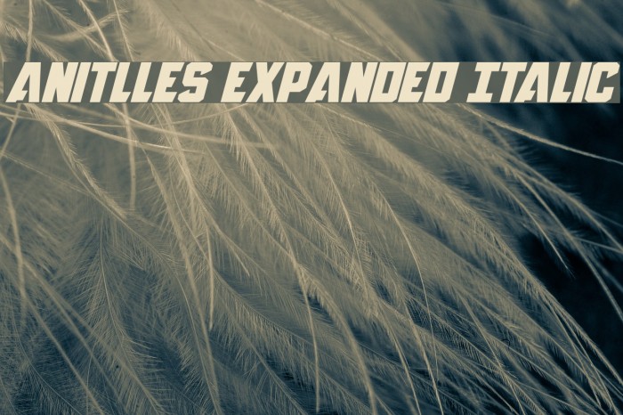 Anitlles Expanded Italic Font examples