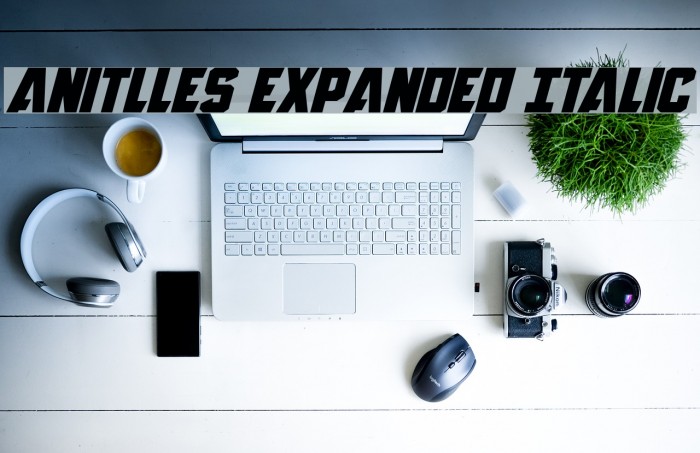 Anitlles Expanded Italic Font examples