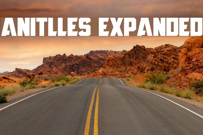 Anitlles Expanded Шрифта examples