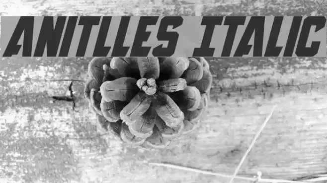 Anitlles Italic Font examples