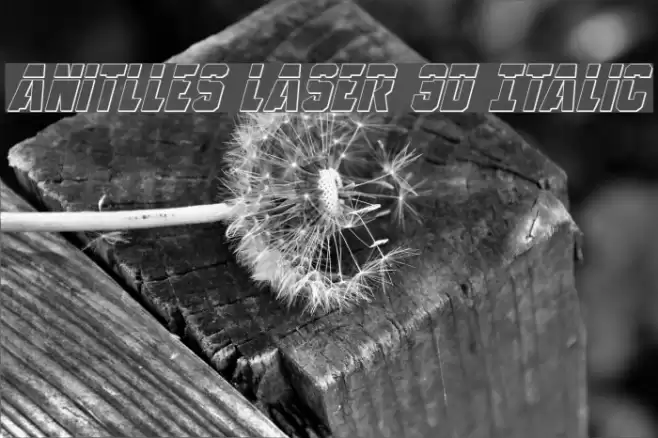 Anitlles Laser 3D Italic Font examples