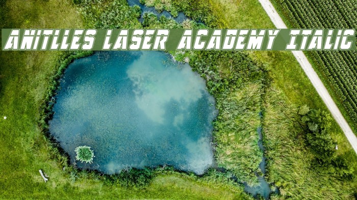 Anitlles Laser Academy Italic Example 2