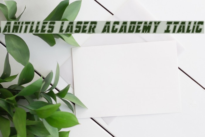 Anitlles Laser Academy Italic Example 3