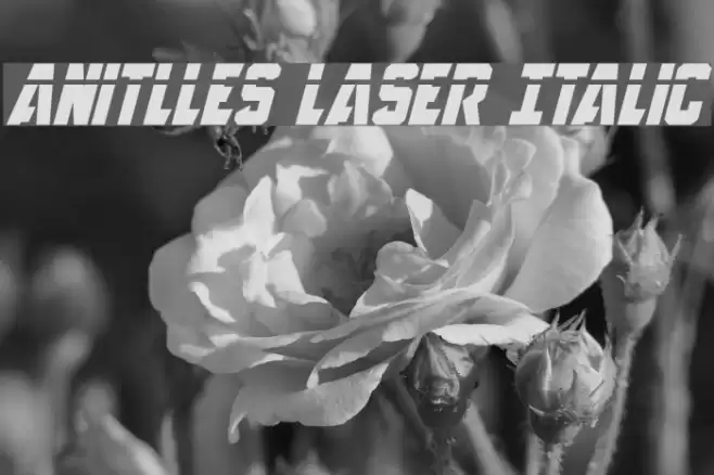 Anitlles Laser Italic Font examples