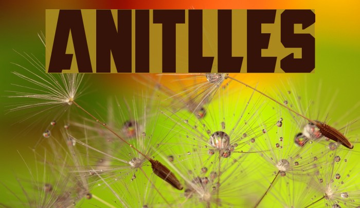 Anitlles Шрифта examples
