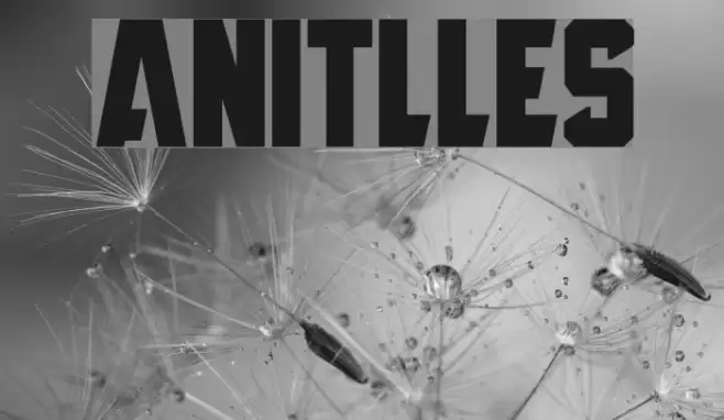 Anitlles Font examples