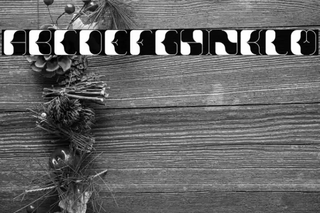 Anitta Font examples