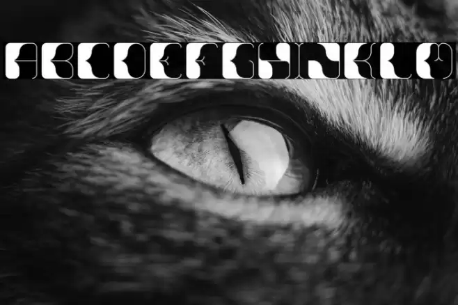 Anitta Font examples